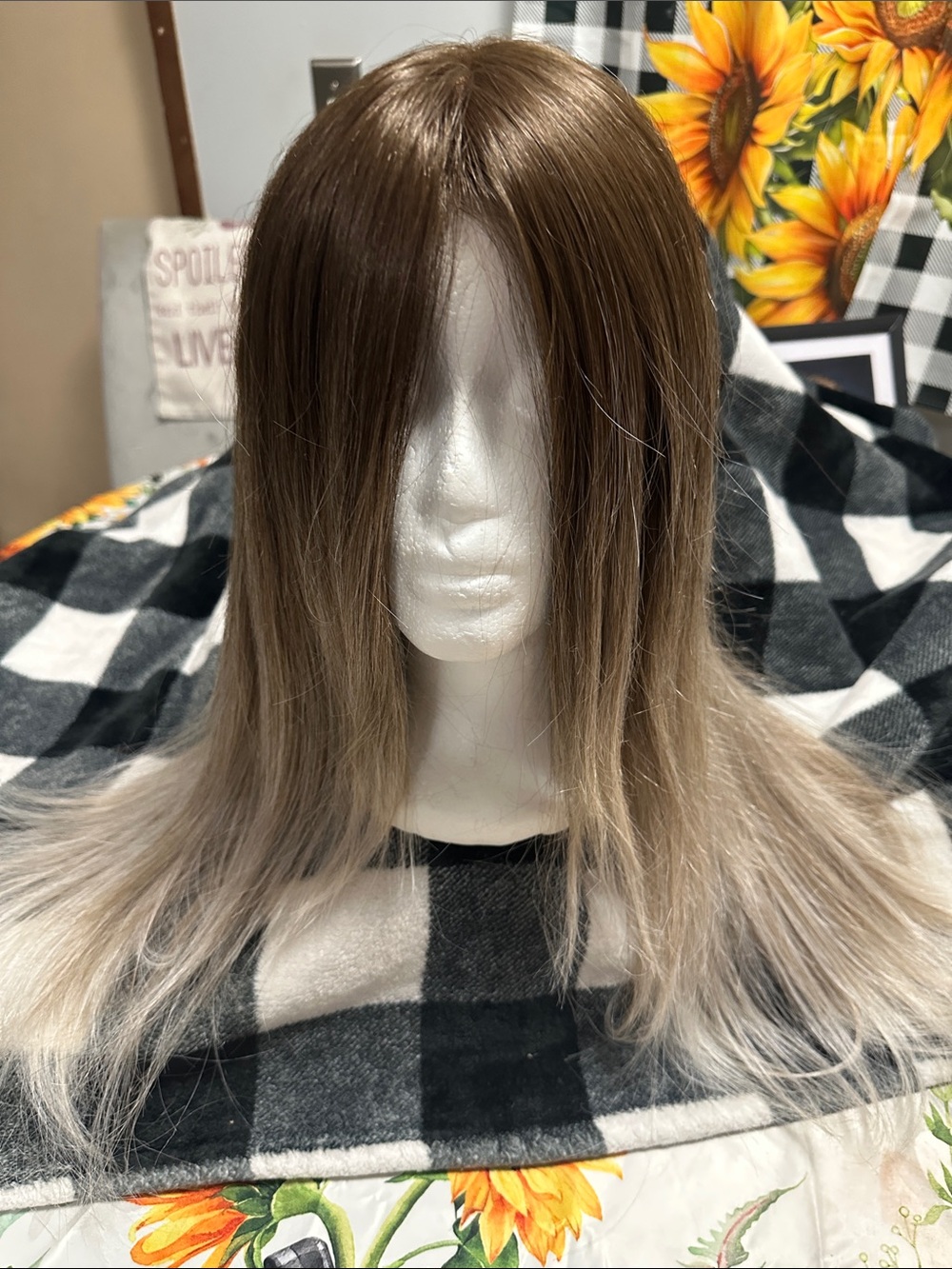 Gorgeous Ombré wig. Brand new - Picture 3 of 6
